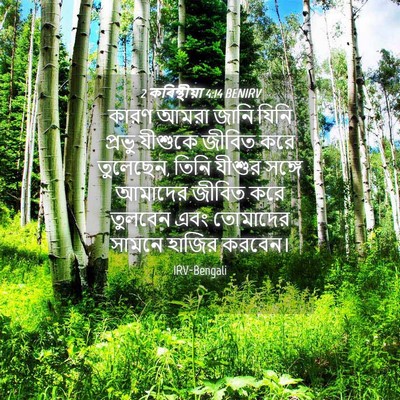 Picture 04 - 2 কৰিন্থীয়া 4:14 BENIRV - কারণ আমরা জানি - Bible Verse Picture