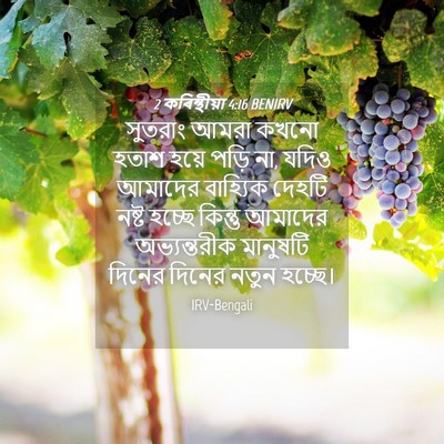 Picture 04 - 2 কৰিন্থীয়া 4:16 BENIRV - সুতরাং আমরা কখনো - Bible Verse Picture