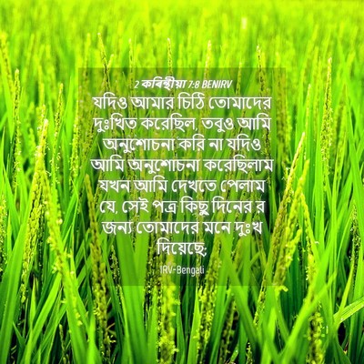 Picture 04 - 2 কৰিন্থীয়া 7:8 BENIRV - যদিও আমার চিঠি - Bible Verse Picture