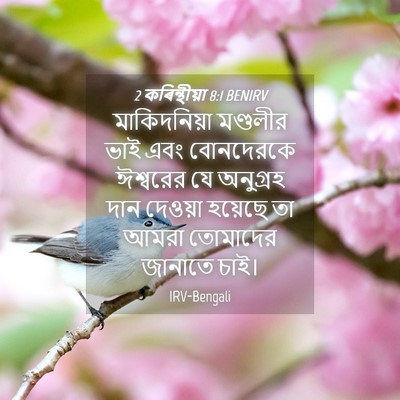 Picture 04 - 2 কৰিন্থীয়া 8:1 BENIRV - মাকিদনিয়া - Bible Verse Picture