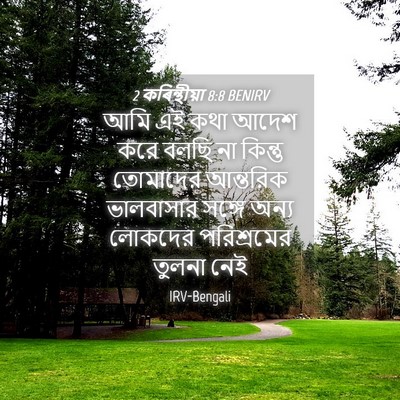 Picture 04 - 2 কৰিন্থীয়া 8:8 BENIRV - আমি এই কথা আদেশ করে - Bible Verse Picture