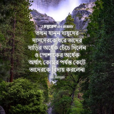Picture 04 - 2 চমূৱেল 10:4 BENIRV - তখন হানূন - Bible Verse Picture