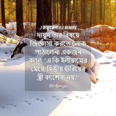 Picture 04 - 2 চমূৱেল 11:3 BENIRV - দায়ূদ তার বিষয়ে - Bible Verse Picture