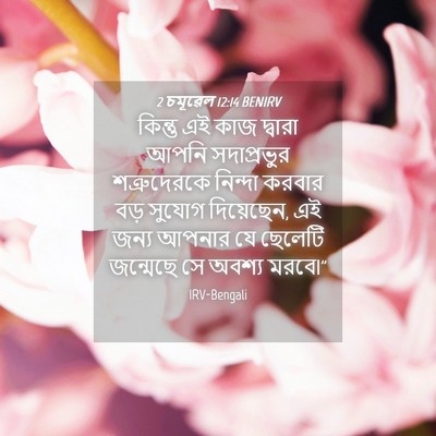 Picture 04 - 2 চমূৱেল 12:14 BENIRV - কিন্তু এই কাজ - Bible Verse Picture
