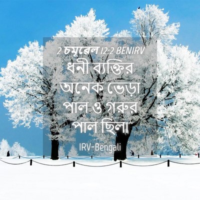 Picture 04 - 2 চমূৱেল 12:2 BENIRV - ধনী ব্যক্তির অনেক - Bible Verse Picture