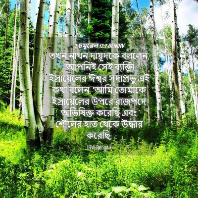 Picture 04 - 2 চমূৱেল 12:7 BENIRV - তখন নাথন দায়ূদকে - Bible Verse Picture