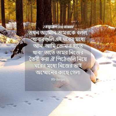 Picture 04 - 2 চমূৱেল 13:10 BENIRV - তখন অম্মোন তামরকে - Bible Verse Picture