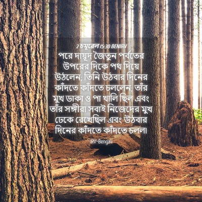 Picture 04 - 2 চমূৱেল 15:30 BENIRV - পরে দায়ূদ জৈতুন - Bible Verse Picture