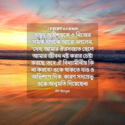 Picture 04 - 2 চমূৱেল 16:11 BENIRV - দায়ূদ অবীশয়কে ও - Bible Verse Picture
