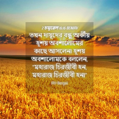 Picture 04 - 2 চমূৱেল 16:16 BENIRV - তখন দায়ূদের - Bible Verse Picture