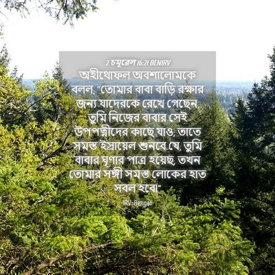 Picture 04 - 2 চমূৱেল 16:21 BENIRV - অহীথোফল অবশালোমকে - Bible Verse Picture