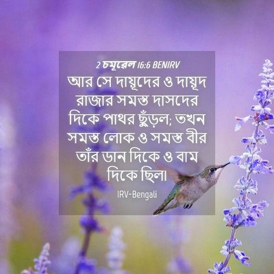Picture 04 - 2 চমূৱেল 16:6 BENIRV - আর সে দায়ূদের ও - Bible Verse Picture