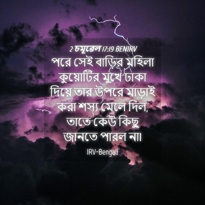 Picture 04 - 2 চমূৱেল 17:19 BENIRV - পরে সেই বাড়ির - Bible Verse Picture