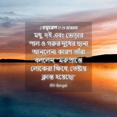 Picture 04 - 2 চমূৱেল 17:29 BENIRV - মধু, দই এবং ভেড়ার - Bible Verse Picture