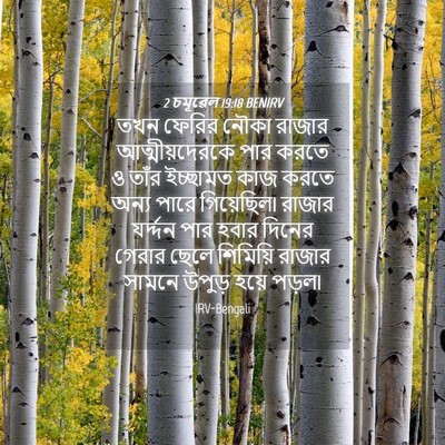 Picture 04 - 2 চমূৱেল 19:18 BENIRV - তখন ফেরির নৌকা - Bible Verse Picture