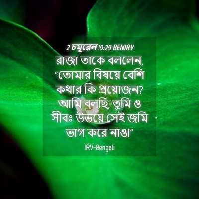 Picture 04 - 2 চমূৱেল 19:29 BENIRV - রাজা তাকে বললেন, - Bible Verse Picture