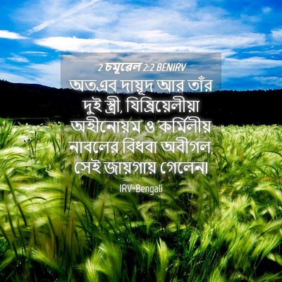 Picture 04 - 2 চমূৱেল 2:2 BENIRV - অতএব দায়ূদ আর - Bible Verse Picture
