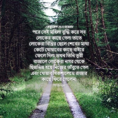 Picture 04 - 2 চমূৱেল 20:22 BENIRV - পরে সেই মহিলা - Bible Verse Picture