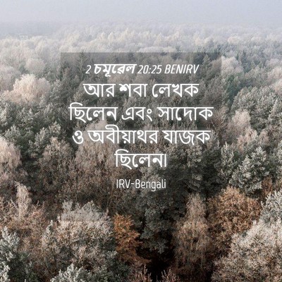 Picture 04 - 2 চমূৱেল 20:25 BENIRV - আর শবা লেখক ছিলেন - Bible Verse Picture