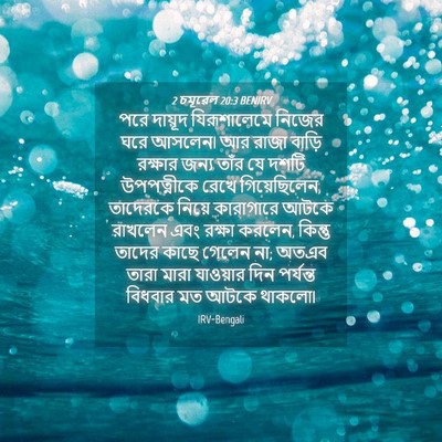 Picture 04 - 2 চমূৱেল 20:3 BENIRV - পরে দায়ূদ - Bible Verse Picture