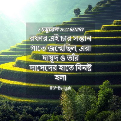 Picture 04 - 2 চমূৱেল 21:22 BENIRV - রফার এই চার সন্তান - Bible Verse Picture