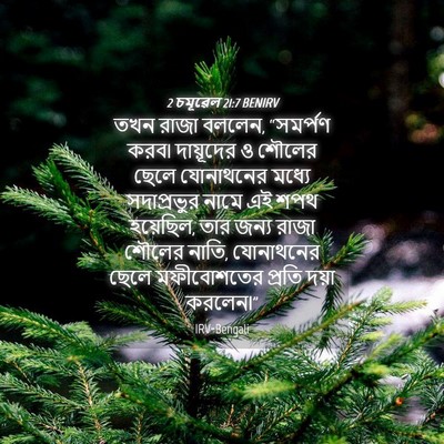 Picture 04 - 2 চমূৱেল 21:7 BENIRV - তখন রাজা বললেন, - Bible Verse Picture