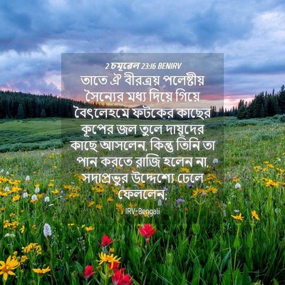 Picture 04 - 2 চমূৱেল 23:16 BENIRV - তাতে ঐ বীরত্রয় - Bible Verse Picture