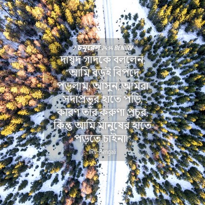 Picture 04 - 2 চমূৱেল 24:14 BENIRV - দায়ূদ গাদকে - Bible Verse Picture