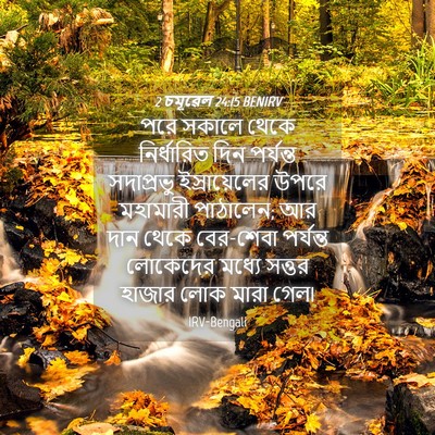 Picture 04 - 2 চমূৱেল 24:15 BENIRV - পরে সকালে থেকে - Bible Verse Picture