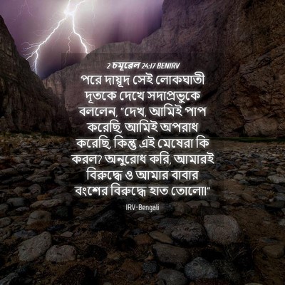 Picture 04 - 2 চমূৱেল 24:17 BENIRV - পরে দায়ূদ সেই - Bible Verse Picture