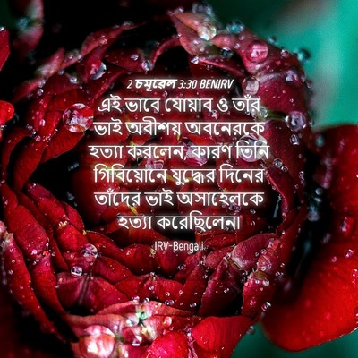 Picture 04 - 2 চমূৱেল 3:30 BENIRV - এই ভাবে যোয়াব ও - Bible Verse Picture