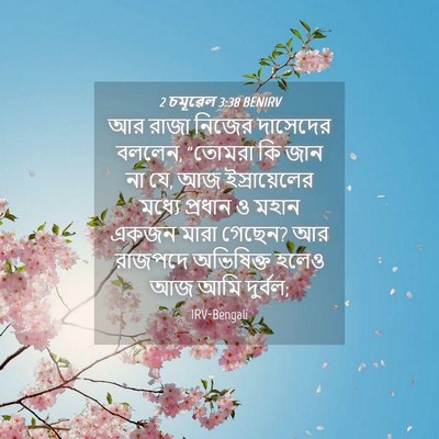 Picture 04 - 2 চমূৱেল 3:38 BENIRV - আর রাজা নিজের - Bible Verse Picture