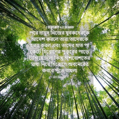 Picture 04 - 2 চমূৱেল 4:12 BENIRV - পরে দায়ূদ নিজের - Bible Verse Picture