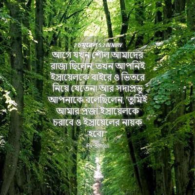 Picture 04 - 2 চমূৱেল 5:2 BENIRV - আগে যখন শৌল আমাদের - Bible Verse Picture