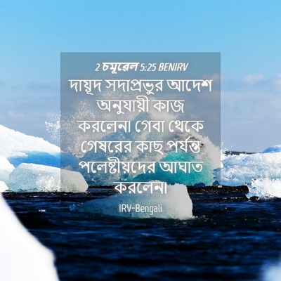 Picture 04 - 2 চমূৱেল 5:25 BENIRV - দায়ূদ সদাপ্রভুর - Bible Verse Picture
