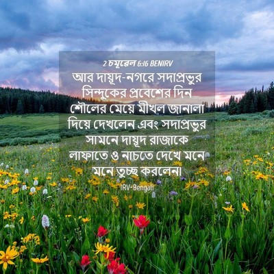 Picture 04 - 2 চমূৱেল 6:16 BENIRV - আর দায়ূদ-নগরে - Bible Verse Picture