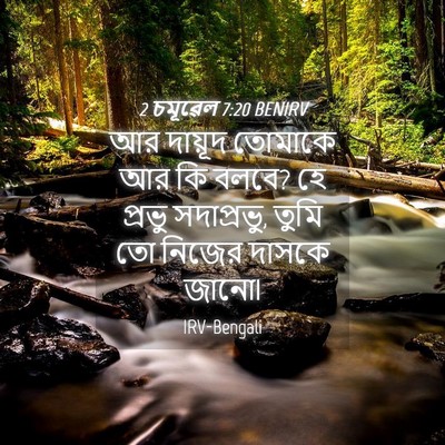 Picture 04 - 2 চমূৱেল 7:20 BENIRV - আর দায়ূদ তোমাকে - Bible Verse Picture
