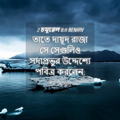 Picture 04 - 2 চমূৱেল 8:11 BENIRV - তাতে দায়ূদ রাজা - Bible Verse Picture