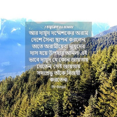 Picture 04 - 2 চমূৱেল 8:6 BENIRV - আর দায়ূদ - Bible Verse Picture