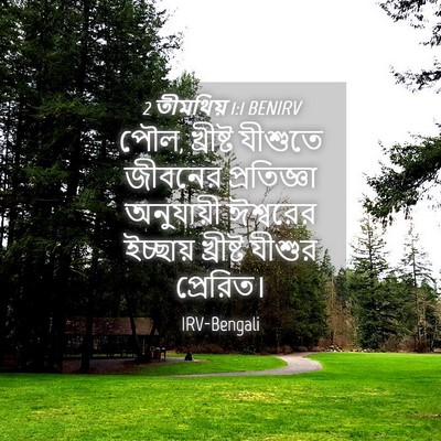 Picture 04 - 2 তীমথিয় 1:1 BENIRV - পৌল, খ্রীষ্ট - Bible Verse Picture