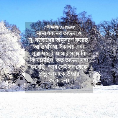 Picture 04 - 2 তীমথিয় 3:11 BENIRV - নানা ধরনের তাড়না - Bible Verse Picture