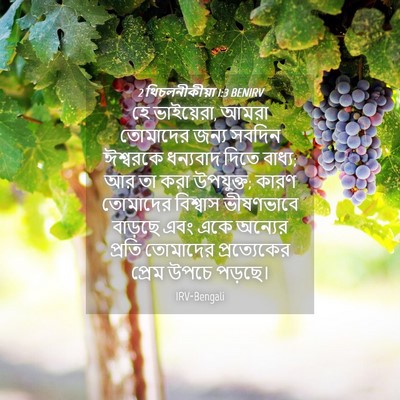 Picture 04 - 2 থিচলনীকীয়া 1:3 BENIRV - হে ভাইয়েরা, আমরা - Bible Verse Picture