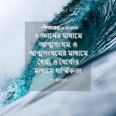 Picture 04 - 2 পিতরের 1:6 BENIRV - ও জ্ঞানের মাধ্যমে - Bible Verse Picture