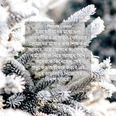 Picture 04 - 2 পিতরের 2:1 BENIRV - ইস্রায়েলীয়দের - Bible Verse Picture