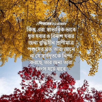 Picture 04 - 2 পিতরের 2:12 BENIRV - কিন্তু এরা, - Bible Verse Picture