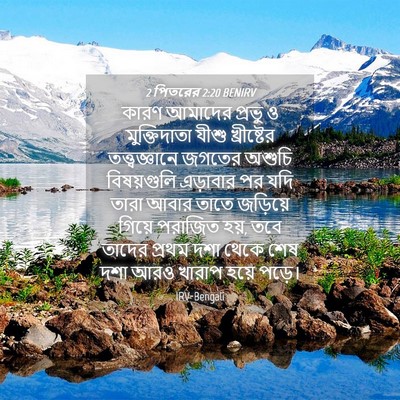 Picture 04 - 2 পিতরের 2:20 BENIRV - কারণ আমাদের প্রভু - Bible Verse Picture