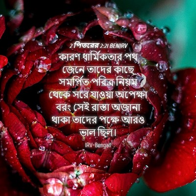 Picture 04 - 2 পিতরের 2:21 BENIRV - কারণ ধার্মিকতার - Bible Verse Picture