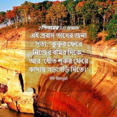 Picture 04 - 2 পিতরের 2:22 BENIRV - এই প্রবাদ তাদের - Bible Verse Picture