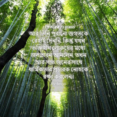 Picture 04 - 2 পিতরের 2:5 BENIRV - আর তিনি পুরানো - Bible Verse Picture