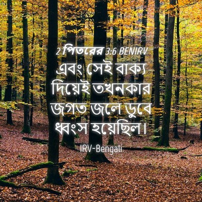 Picture 04 - 2 পিতরের 3:6 BENIRV - এবং সেই বাক্য - Bible Verse Picture